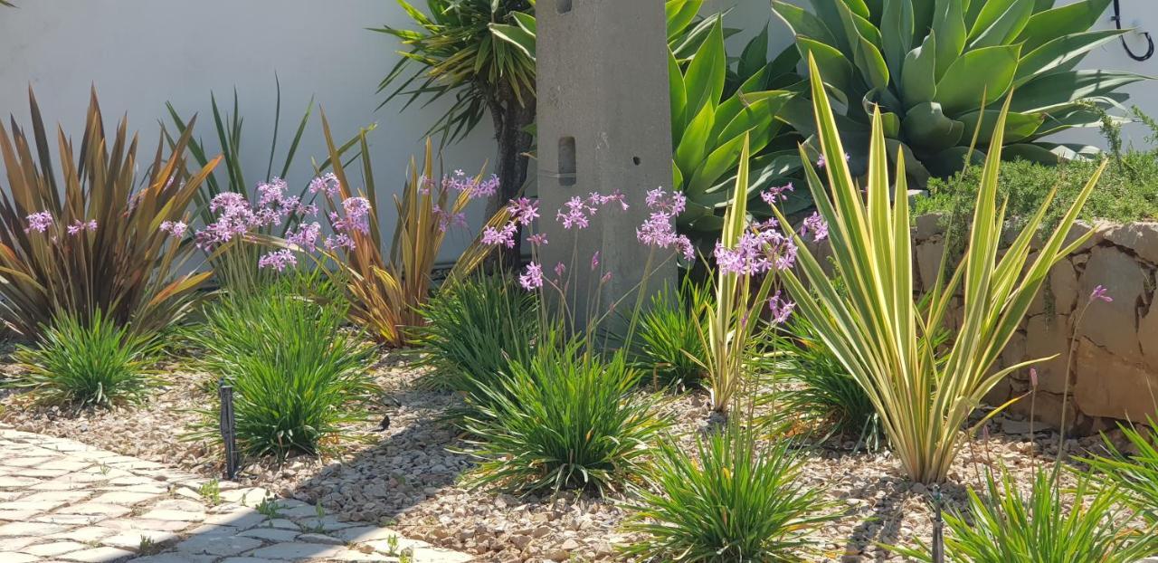 Villa Quinta Da Violeta Λουλέ Εξωτερικό φωτογραφία